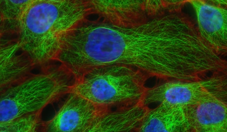 MIT Engineers Develop Precision-Controlled Gene Therapy Circuit, Advancing Treatments for Genetic Disorders