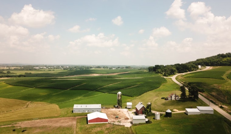 MIT Engineers Spark Biotech Revolution as Bacteria Engineered to
