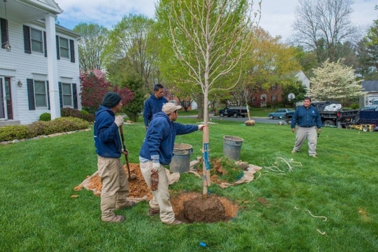 Montgomery County Marks 10 Years of Green Progress with Tree Montgomery's 18,400 Shade Trees in Chevy Chase