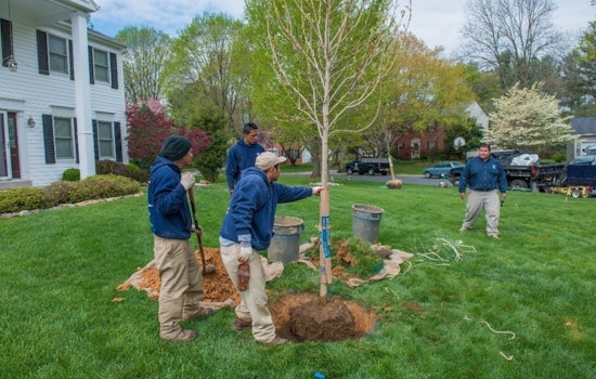 Montgomery County Marks 10 Years of Green Progress with Tree Montgomery's 18,400 Shade Trees in Chevy Chase