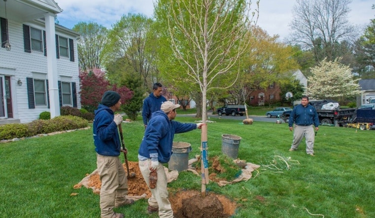 Montgomery County Marks 10 Years of Green Progress with Tree Montgomery's 18,400 Shade Trees in Chevy Chase