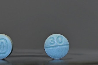 Mothers Transform Grief into Crusade Against Fentanyl on National Awareness Day