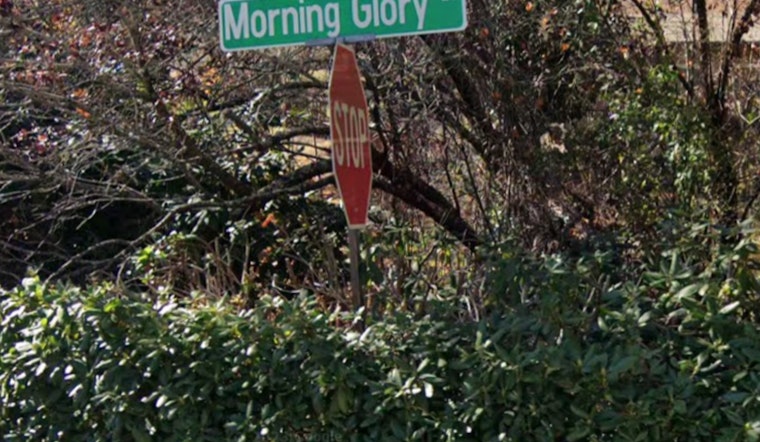 Multiple Arrests in Union County Highlight Surge in Youth Gang