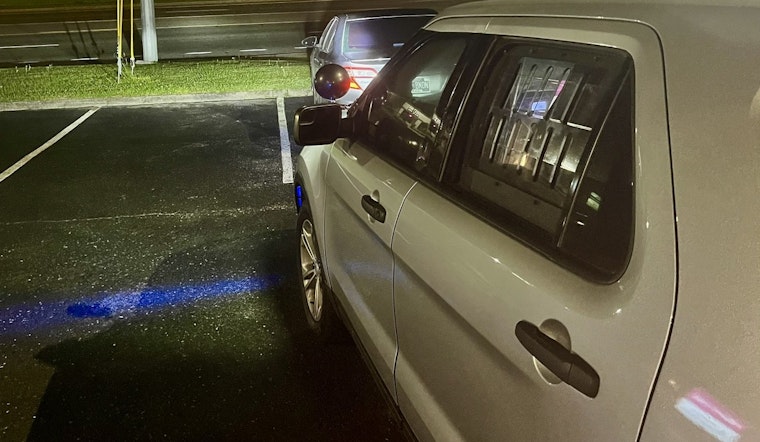 Nashville Man on Probation Arrested in Mt. Juliet for Felony Violation During Traffic Stop