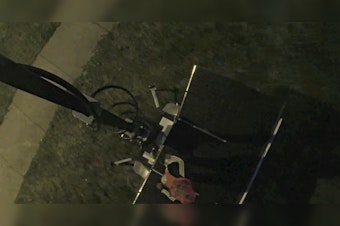 Nashville Police Seek Public's Help in Identifying Suspect Accused of Vandalizing MNPD Safety Camera