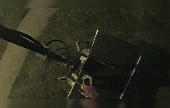 Nashville Police Seek Public's Help in Identifying Suspect Accused of Vandalizing MNPD Safety Camera