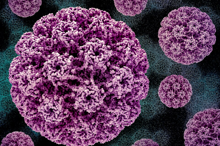 National HPV Conference in Indy Explores Breakthroughs in Cancer Prevention, Highlights Potential of Self-Testing