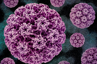 National HPV Conference in Indy Explores Breakthroughs in Cancer Prevention, Highlights Potential of Self-Testing
