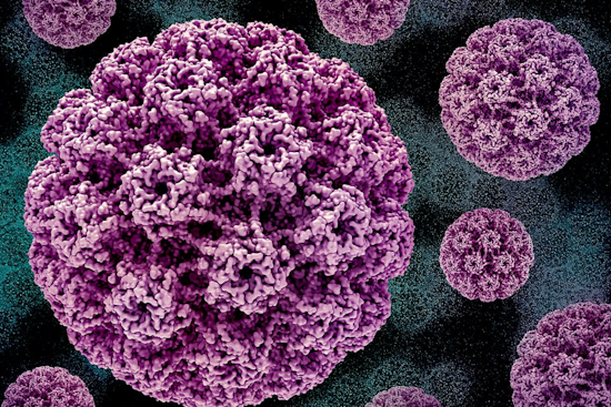 National HPV Conference in Indy Explores Breakthroughs in Cancer Prevention, Highlights Potential of Self-Testing