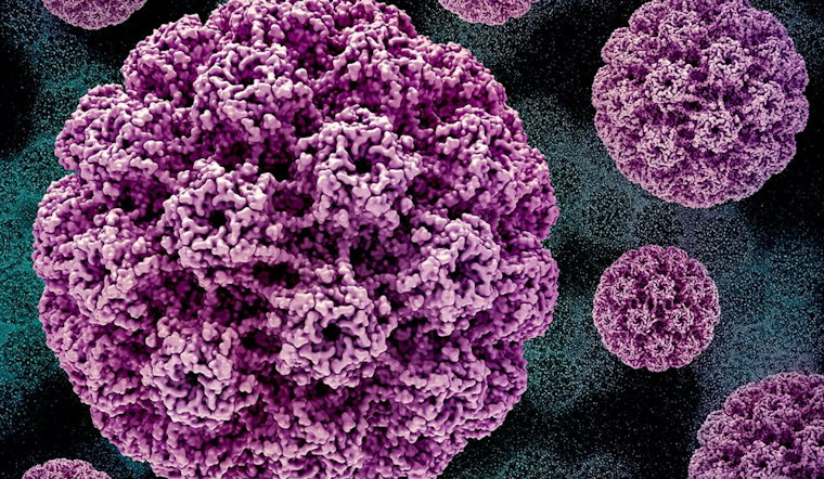 National HPV Conference in Indy Explores Breakthroughs in Cancer Prevention, Highlights Potential of Self-Testing