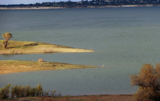 New Boat Inspection and Quarantine Regulations at Folsom Lake to Combat Invasive Golden Mussels