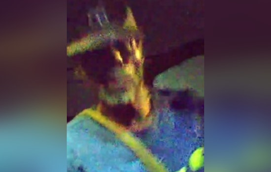 New Orleans Police Seek Public Help to Identify Suspect in Upperline Street Vehicle Burglary
