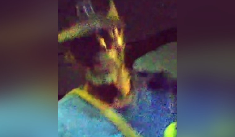 New Orleans Police Seek Public Help to Identify Suspect in Upperline Street Vehicle Burglary