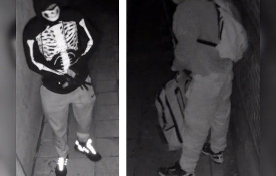 New Orleans Police Seek Public Help to Identify Suspects in South Carrollton Avenue Business Burglary