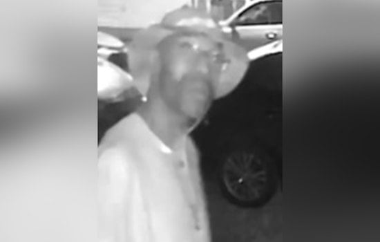 New Orleans Police Seek Public's Help to Identify Porch Theft Suspect in Elmira Street Incident