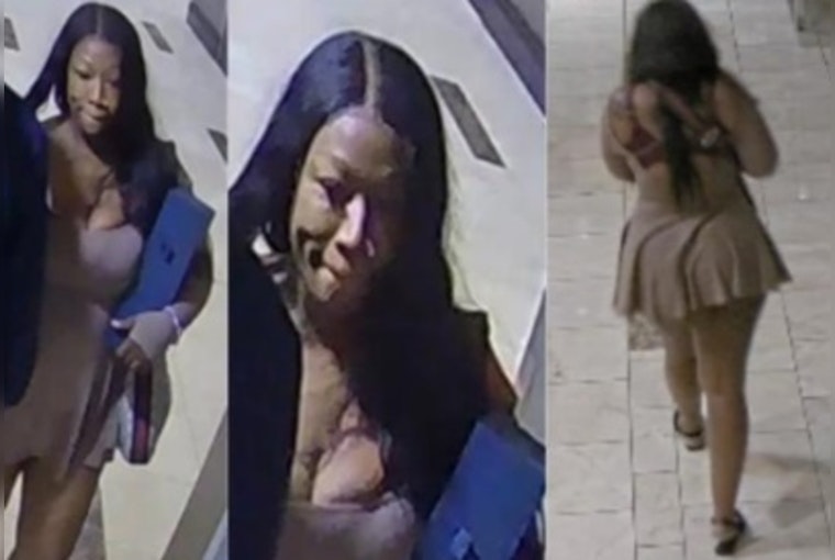New Orleans Police Seek Woman Suspected of Felony Theft After Hotel Room Incident on Loyola Avenue