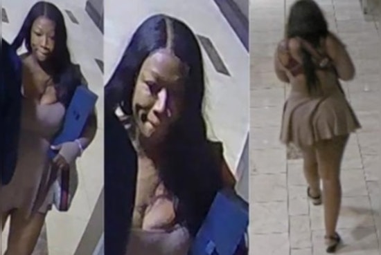 New Orleans Police Seek Woman Suspected of Felony Theft After Hotel Room Incident on Loyola Avenue