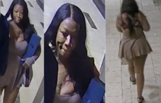 New Orleans Police Seek Woman Suspected of Felony Theft After Hotel Room Incident on Loyola Avenue