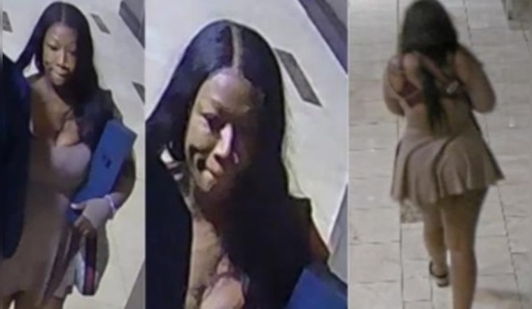 New Orleans Police Seek Woman Suspected of Felony Theft After Hotel Room Incident on Loyola Avenue