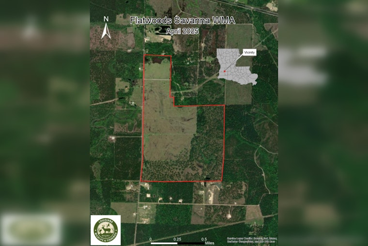 New Wildlife Management Area Announced in Allen Parish to Enhance Conservation Efforts