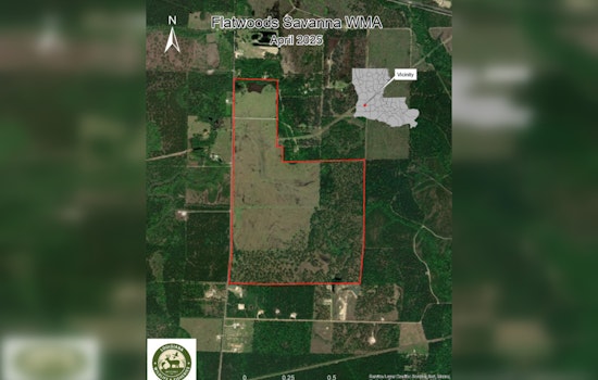 New Wildlife Management Area Announced in Allen Parish to Enhance Conservation Efforts