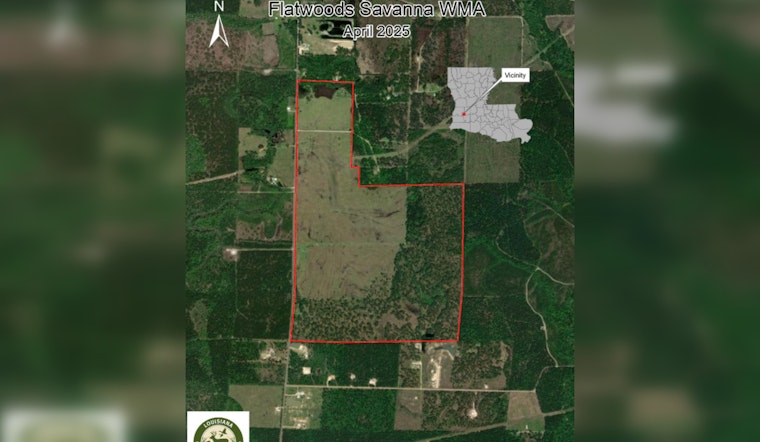 New Wildlife Management Area Announced in Allen Parish to Enhance Conservation Efforts