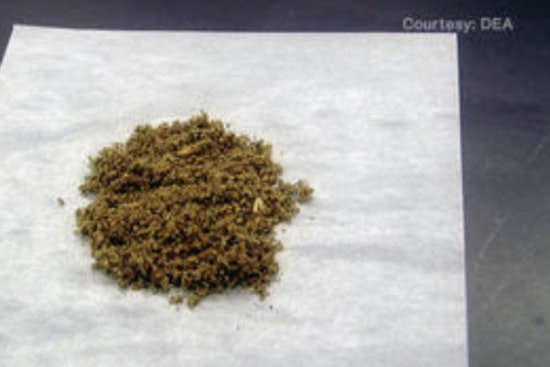 New York Battles Ongoing K2 Synthetic Marijuana Crisis Amid Legalization Challenges