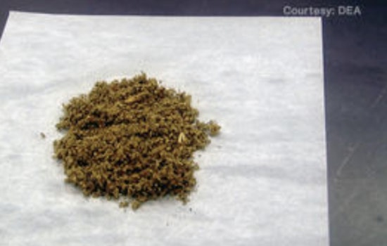 New York Battles Ongoing K2 Synthetic Marijuana Crisis Amid Legalization Challenges