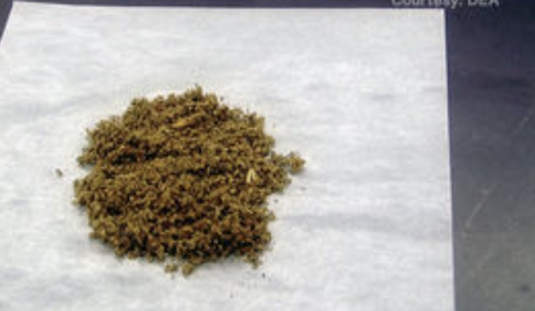 New York Battles Ongoing K2 Synthetic Marijuana Crisis Amid Legalization Challenges