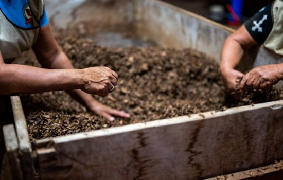 NYC Springs into Composting with Free Compost in Queens, Kitchen Bins in Brooklyn, and Expansion on Staten Island