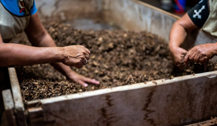 NYC Springs into Composting with Free Compost in Queens, Kitchen Bins in Brooklyn, and Expansion on Staten Island