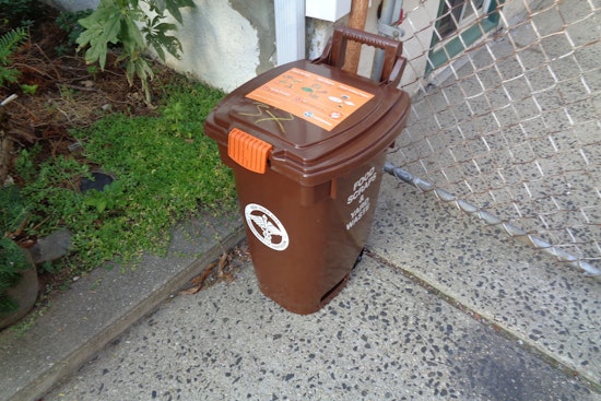 New York City Councilmembers Push to End Composting Mandate Amid Backlash and Fines