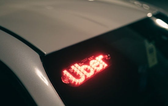 New York City Tops Uber's List of Most Forgetful Locations with Chainsaws to Live Turtles Left Behind