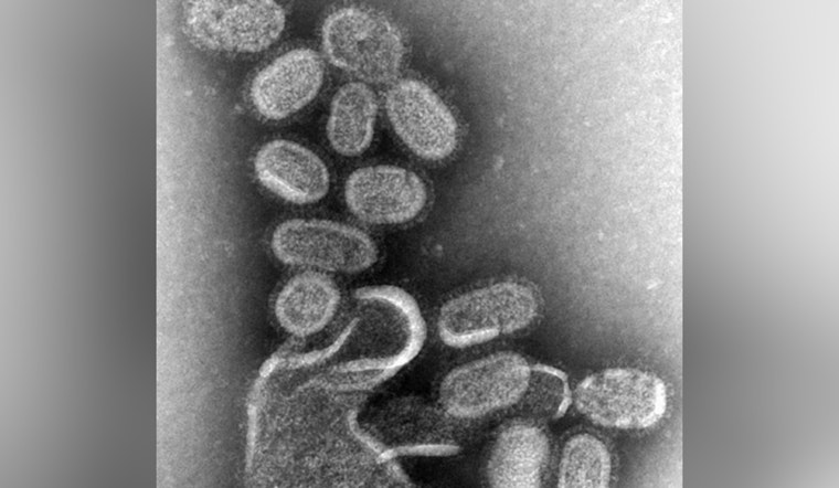 North Carolina Faces Worst Flu Season Since 2009 with Over 500 Deaths Amid Public Health Funding Cuts