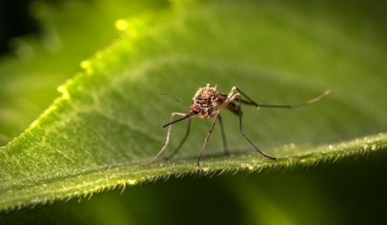 North Carolina Ramps Up "Fight the Bite" Campaign to Combat Tick and Mosquito Threats