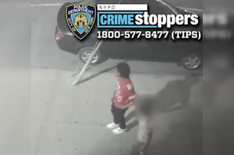 NYPD Launches Manhunt for Suspect in Shooting of 28-Year-Old in the Bronx, $3,500 Reward Offered for Tips