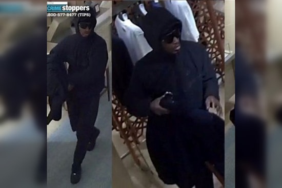 NYPD Seeks Public's Help to Apprehend Suspects in Brazen Manhattan Store Robbery with Taser Threat