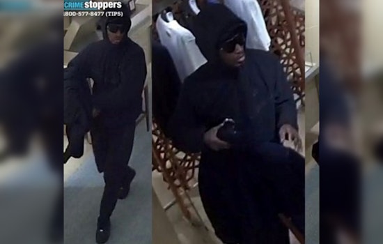 NYPD Seeks Public's Help to Apprehend Suspects in Brazen Manhattan Store Robbery with Taser Threat