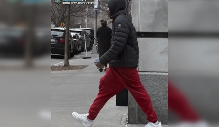 NYPD Seeks Public's Help to Capture Sexual Predator Behind Multiple Assaults