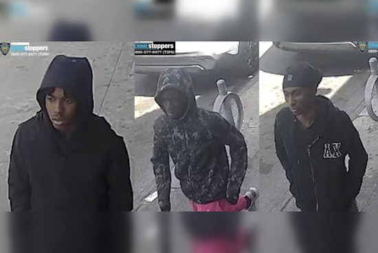 NYPD Seeks Public's Help to Find Trio Suspected of Armed Robbery in Bronx's Crotona Park