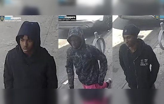 NYPD Seeks Public's Help to Find Trio Suspected of Armed Robbery in Bronx's Crotona Park
