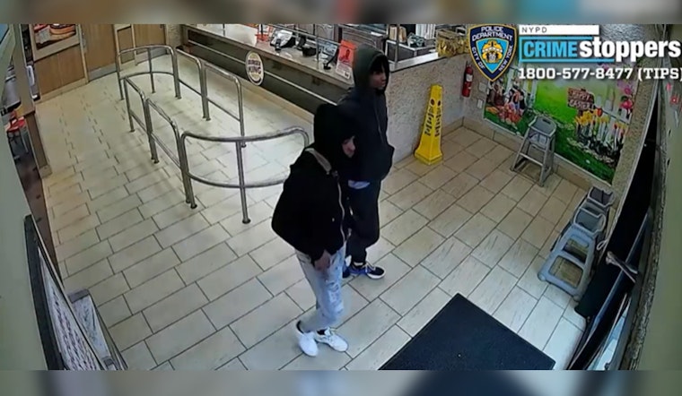NYPD Seeks Public's Help to Identify Suspects in Armed Robbery at Queens Boulevard, Rego Park