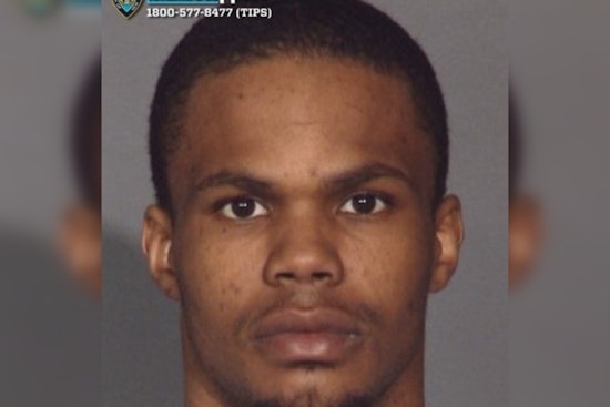 NYPD Seeks Tips to Apprehend Suspected Shooter Hassaun Goodridge for Bronx Incident
