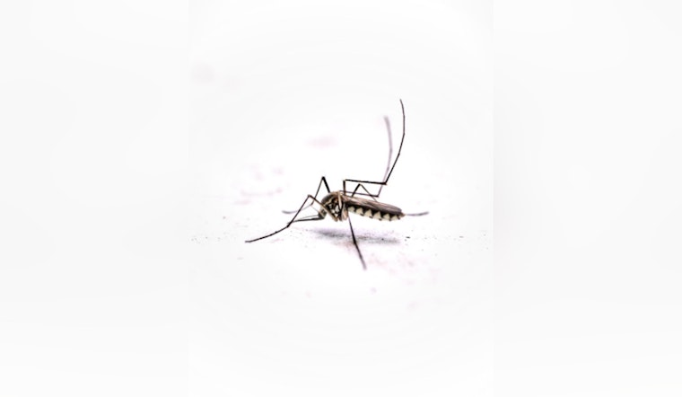 Oʻahu Reports Seventh Dengue Case of 2025 as Hawai'i DOH Takes Action