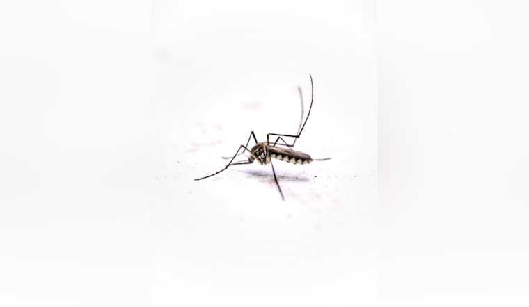 Oʻahu Reports Sixth Travel-Related Dengue Case in 2025 as Health Officials Ramp Up Mosquito Control Efforts