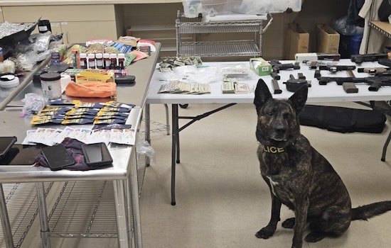 Oak Creek Police Seize Drugs and Firearms in Major Milwaukee Bust; Suspect Detained and Facing Felony Charges