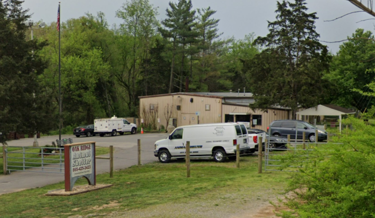 Oak Ridge Animal Shelter Temporarily Closes Doors Amid Canine Distemper Outbreak