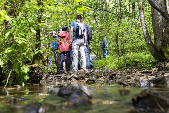 Oak Ridge National Laboratory Unveils Guided Nature Walk Series to Connect Community with Local Ecosystem