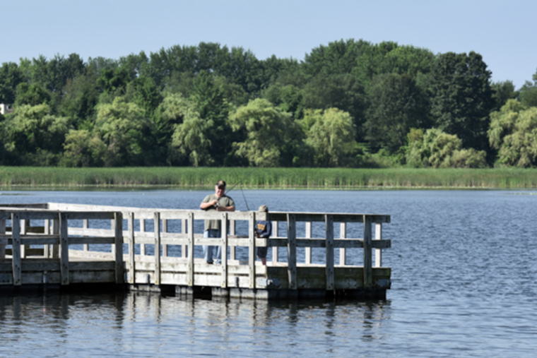 Oakland County Closes Orion Oaks Dog Park Dock Due to E. coli Concerns, Seeks Public Input on Future Amenities