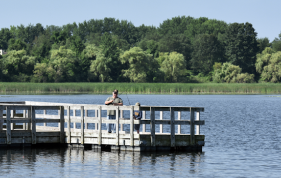 Oakland County Closes Orion Oaks Dog Park Dock Due to E. coli Concerns, Seeks Public Input on Future Amenities